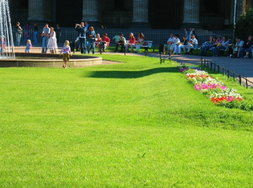 Городской рулонный газон