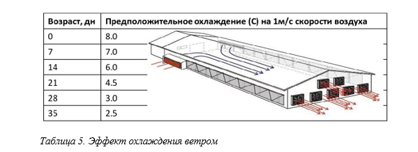 Таб 5.PNG