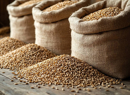 Минсельхоз пересматривает интервенционные цены на пшеницу рожь и ячмень