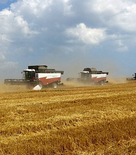 Урожай зерна превысил 105 млн. тонн и позитивный прогноз сохраняется