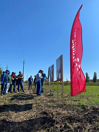 День поля «Штрубе Рус» прошел в Воронежской области