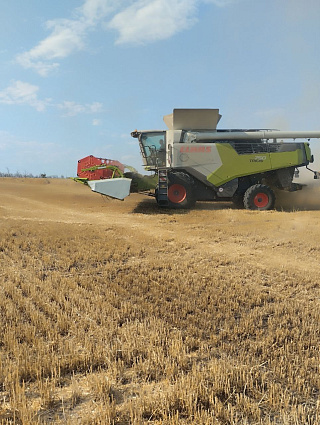 В Волгоградской области успешно протестировали удобрение с двумя формами серы