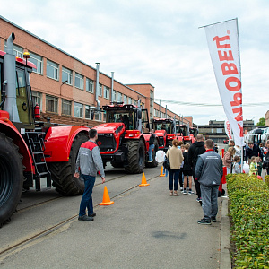 Пиар с чашкой чая