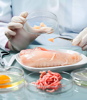 Новый алгоритм контроля качества и безопасности пищевой продукции в России