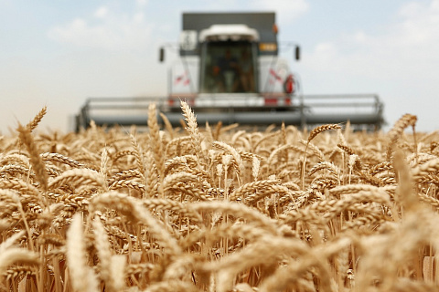 Правительство направит более миллиарда рублей на развитие аграрного образования в 24 регионах