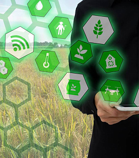 Три вызова АПК, которые решают цифровые технологии