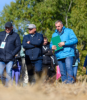 Подсолнечник для каждого