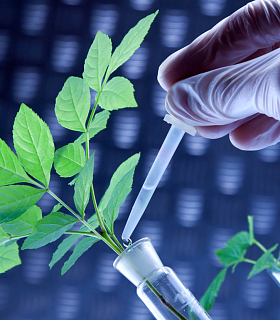 Минсельхоз представил стратегию развития агросектора в условиях климата