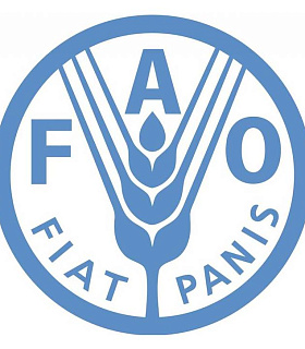 Агротренды: цена продовольствия в мире и экспорт продукции АПК 