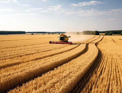 Год большого урожая: Россия собрала рекордные 141 млн. тонн зерна
