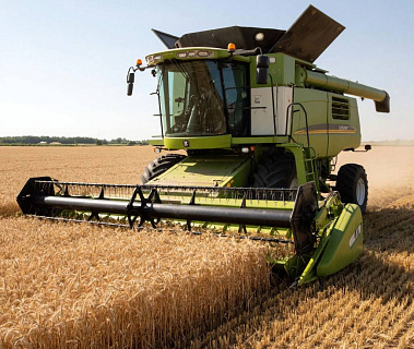 Уборочная кампания завершается при сборе зерна свыше 145 млн. тонн