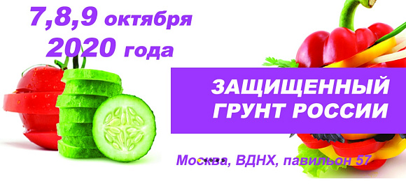 Специализированная выставка «Защищённый грунт России» в этом году будет проводится 17-й раз на ВДНХ в павильоне № 57 