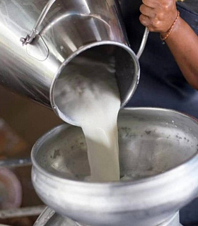 Производство товарного молока показывает стабильный рост на 2,1%