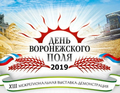 ДЕНЬ ВОРОНЕЖСКОГО ПОЛЯ 2019