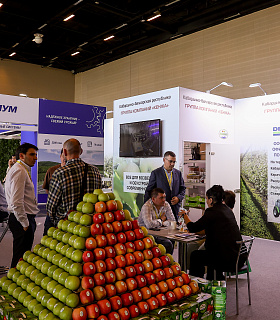 В Минеральных Водах пройдет PRO ЯБЛОКО 2026 — ключевая B2B-платформа российского садоводства