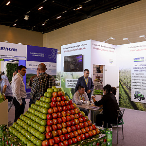 В Минеральных Водах пройдет PRO ЯБЛОКО 2026 — ключевая B2B-платформа российского садоводства