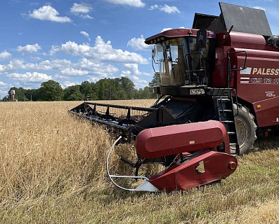 Российский ячмень вытесняет традиционных поставщиков