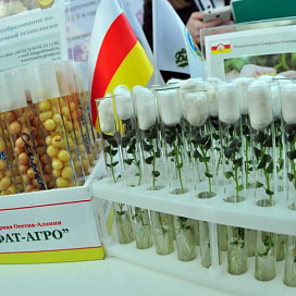 «Картофель 2015», г. Чебоксары