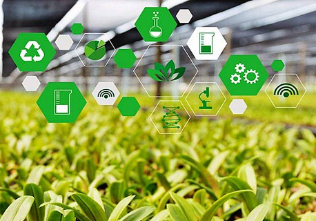 Единый цифровой контур АПК шаг к прозрачности аграрного бизнеса