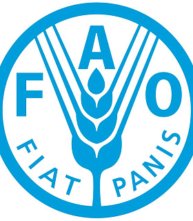 Россия останется лидером мирового продовольственного рынка