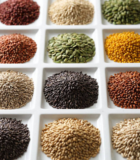 Правила отбора проб семян по ГОСТ 12036-2025