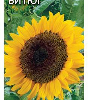 Подсолнечник Битюг 10 г Н17
