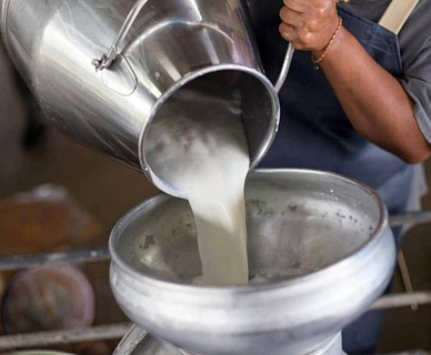 Производство товарного молока показывает стабильный рост на 2,1%