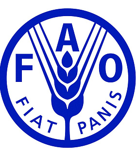 Мировой рынок продовольствия переживает период жесткой конкурентной борьбы