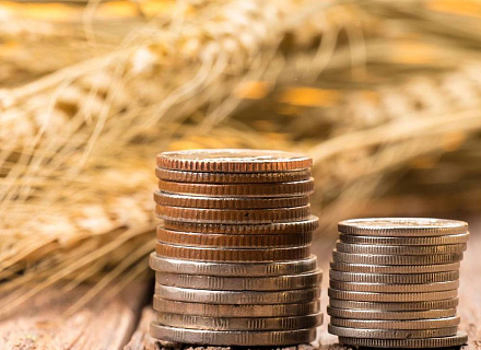 Прирост зарплат в АПК впечатляет, но не решает главных проблем