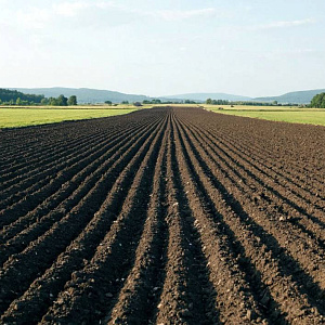 Сохранение почвенных ресурсов и плодородия почв –стратегическая задача для АПК