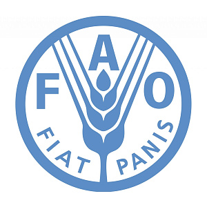 ООН предупреждает о наступающем продовольственном кризисе