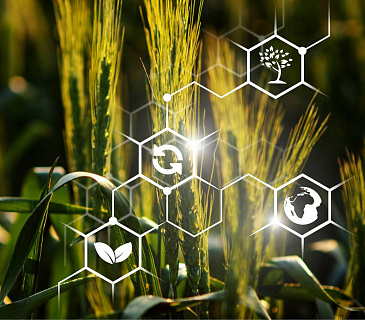 Цифровизация агрострахования: шаг вперёд, но не без усилий