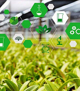 Единый цифровой контур АПК шаг к прозрачности аграрного бизнеса