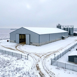 Мороз находит слабое место на любой ферме