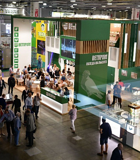 Регистрация на юбилейную выставку «Куриный Король - 2026» уже началась