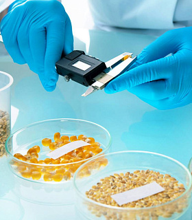 Новая методика экспертизы безопасности ГМО в кормах вступает в силу с 2026 года