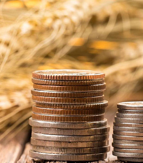 Прирост зарплат в АПК впечатляет, но не решает главных проблем