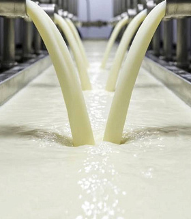 Когда молоко проверяют не только надзорные органы, но и конкуренты