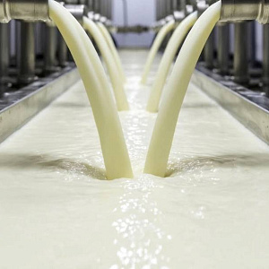 Когда молоко проверяют не только надзорные органы, но и конкуренты