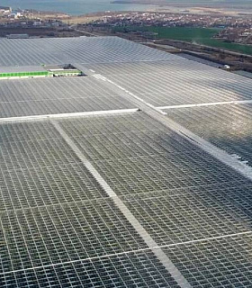 Новые теплицы строятся только там, где есть господдержка