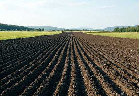 Сохранение почвенных ресурсов и плодородия почв –стратегическая задача для АПК