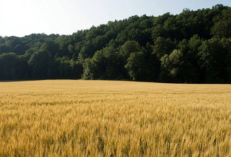 Сельхозземли в ООПТ теперь можно использовать без изъятия