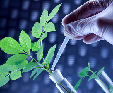 Минсельхоз представил стратегию развития агросектора в условиях климата