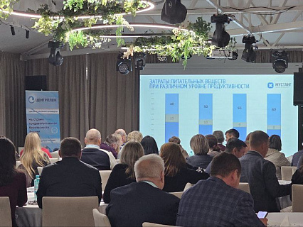 Коровий секрет долголетия: как генетика и кормление улучшают молочное стадо