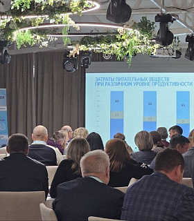 Коровий секрет долголетия: как генетика и кормление улучшают молочное стадо