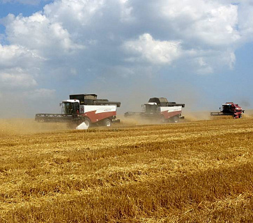 Урожай зерна превысил 105 млн. тонн и позитивный прогноз сохраняется