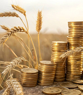Кредитование АПК в 2025 году выросло на 2,5%