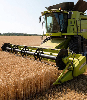 Высокий урожай больше не гарантирует прибыль фермеру