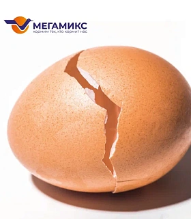 Больше, чем кальций. Использование ИННОВИТ® 25-Гидрокси Витамин D3 в кормлении кур-несушек