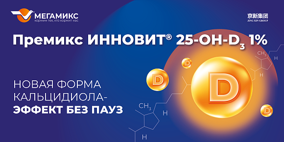 Инновит® 25-Гидрокси Витамин D₃: новая форма кальцидиола на российском рынке